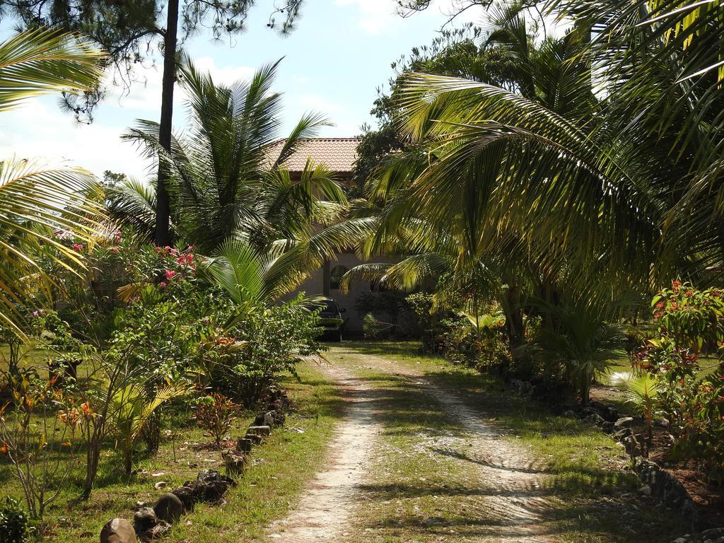 Becks Bed & Breakfast Crooked Tree Luaran gambar