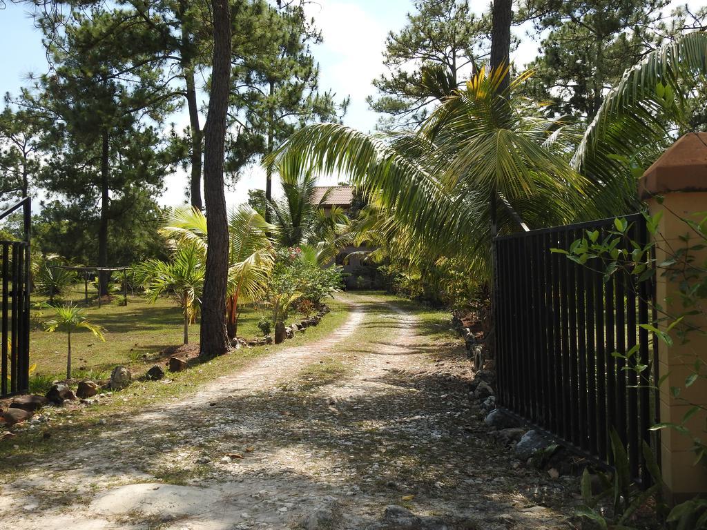 Becks Bed & Breakfast Crooked Tree Luaran gambar