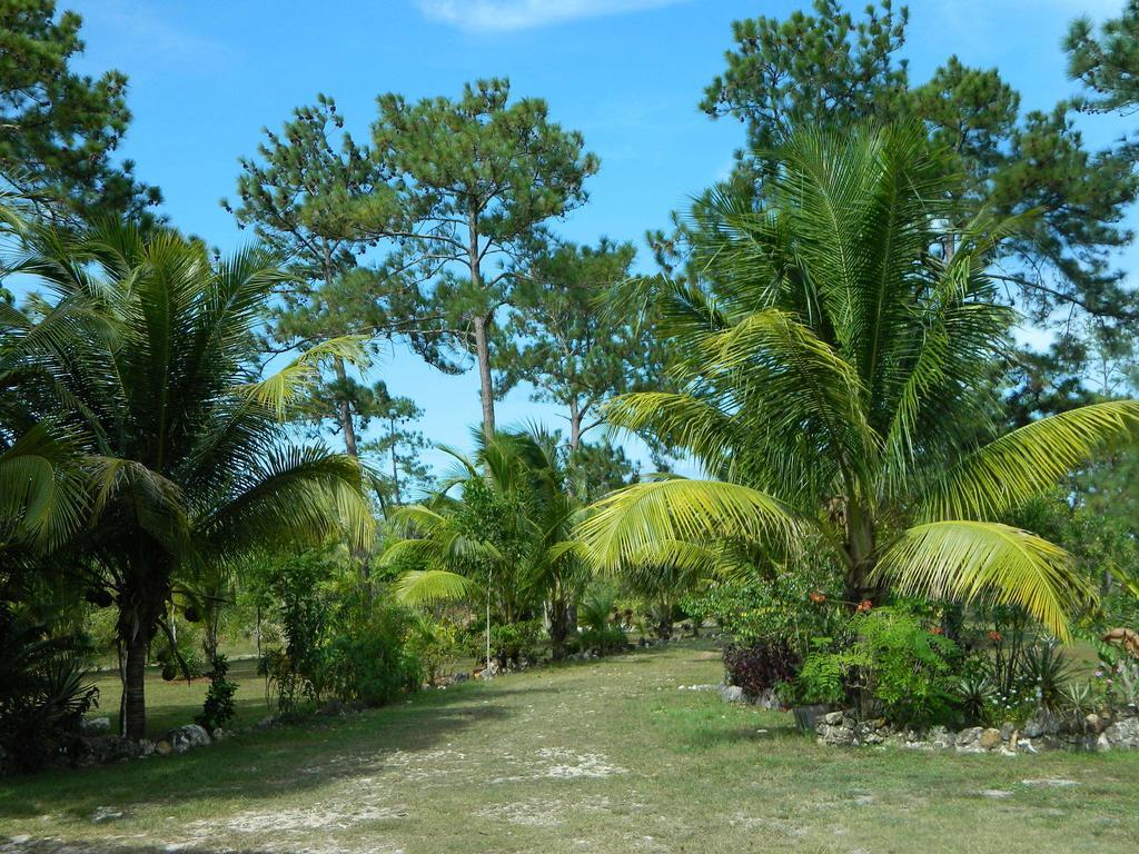 Becks Bed & Breakfast Crooked Tree Luaran gambar